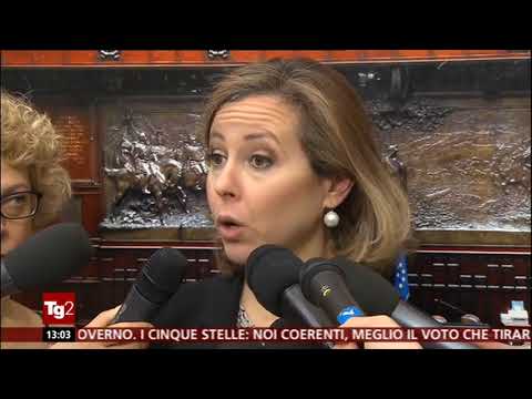 Giulia Grillo - servizio al Tg2 20/4/2018 ore 13