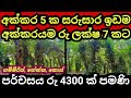 ගම්මිරිස් අක්කරයම ලක්ෂ 7 කට Land For Sale Aduwata Idam G