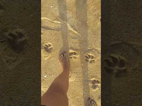 Walk in beautiful beach