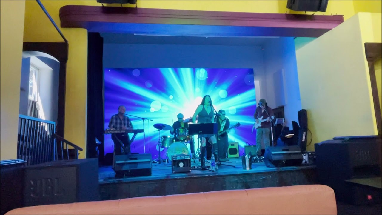 Promotional video thumbnail 3 for Lex & The Feral Cats