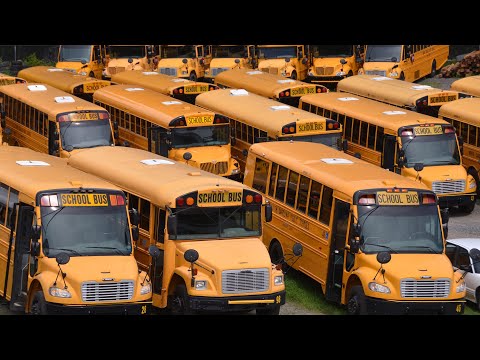 School Bus Parking Lot |Explore school bus parking lot lots of school bus parkbus|Mini school bus tv