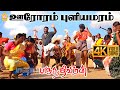 Oororam Puliyamaram 4K Video Song ஊரோரம் புளியமரம் Paruthiveeran Karth