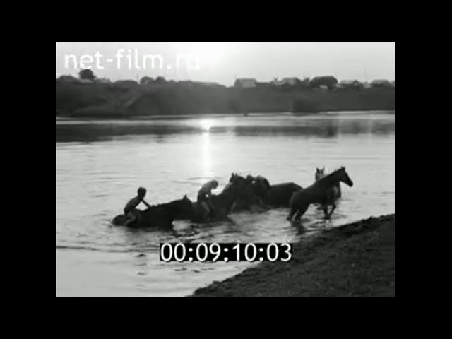 1977г. Совхоз "Красный восток". Алексеевский район. Татарстан