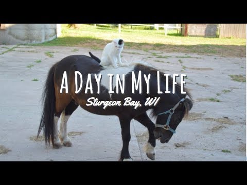 A Day in My Life; Sturgeon Bay, WI