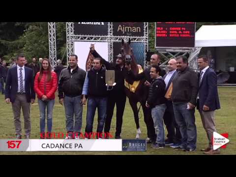 Highlights Bruges 2015 International Show