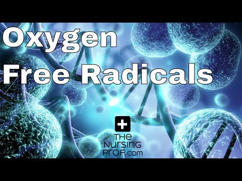 Oxygen Free Radicals Damage the Body