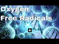 Oxygen Free Radicals Damage the Body