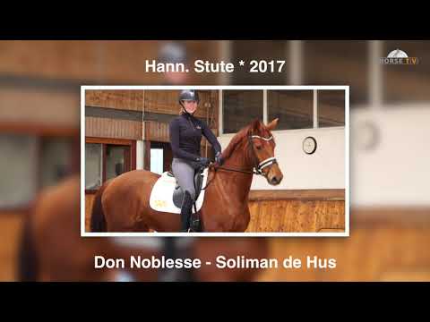 Don Noblesse  Soliman de Hus