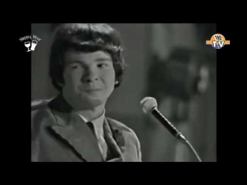 The Fortunes - You've Got your Troubles