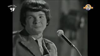 The Fortunes - You&#39;ve Got your Troubles