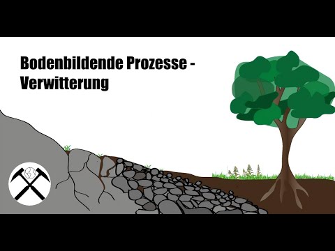 Bodenbildende Prozesse | Bodenkunde 1 🏔