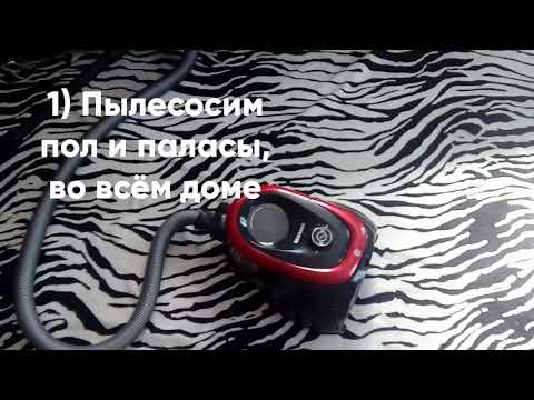 Ежедневная уборка, когда дома собака и кот🐱🐶/ Aiko Pets ❤