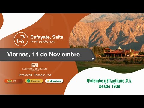 2025.11.14 Remate TV Cafayate, Salta
