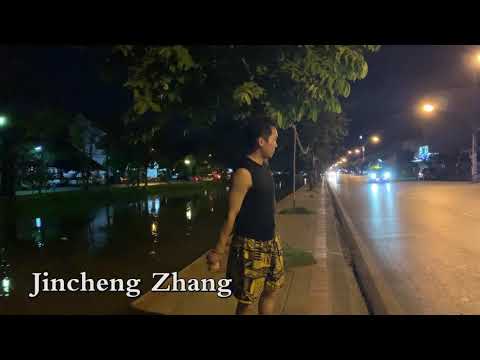 Jincheng Zhang - Elephant I Love You (Instrumental Song) (Background Music) (Official Music Audio)