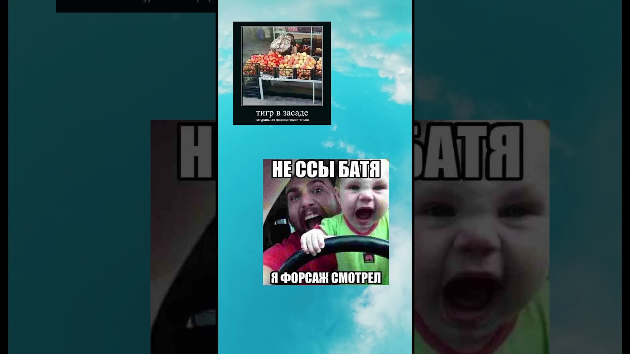 #залетиврек #залити #пустьзалетит