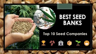 Top 10 Best Seed Banks: Buy Seeds Online