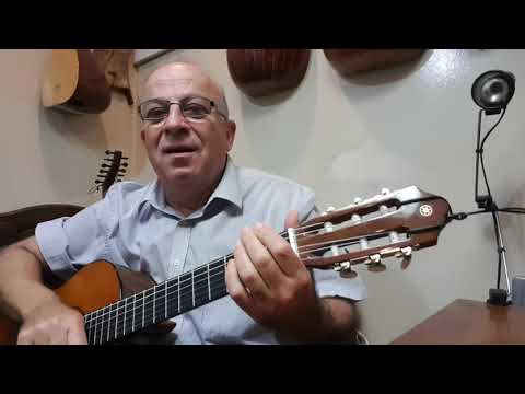 Oriental quarter tone guitar