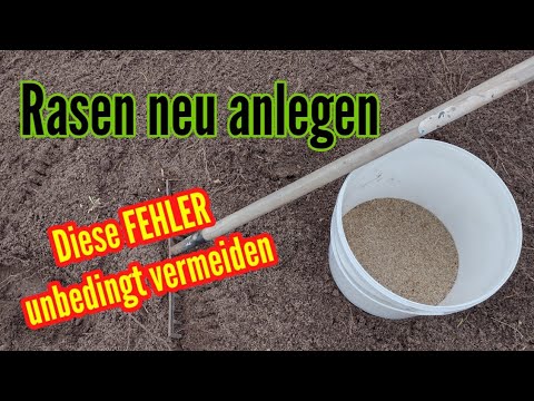 Laying a new lawn: avoid the most common mistakes when sowing lawns