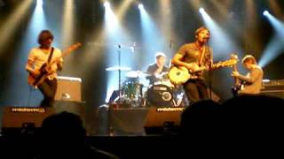 Black swan effect-live-Rat in a cage