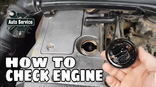 How to Check a Used Car Before Buying (Checking the Engine)