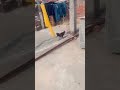 Kaise Din Bite Koi Jatan Bataja