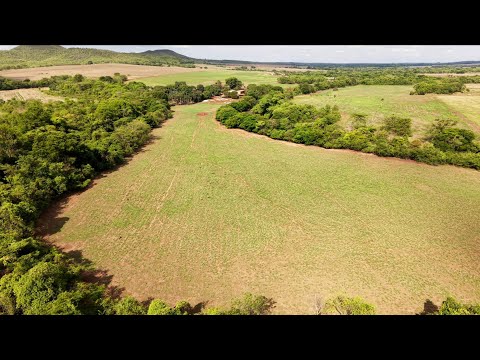 Santo Antônio da Barra - GO - 04/10/2026