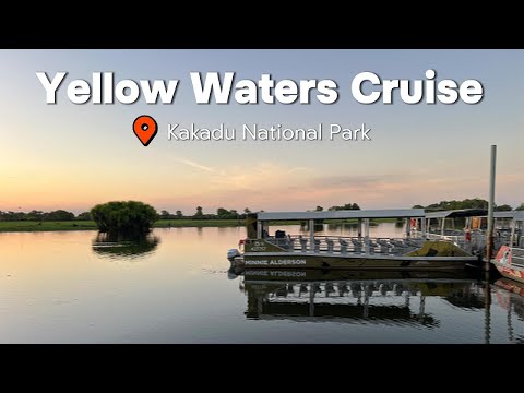 Thumbnail for Yellow Water Cruise Kakadu NT 🌿 | Crocodiles, Buffalos & Barramundi