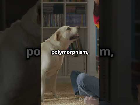 Polymorphism in OOP: Flexibility and Reusability Explained!