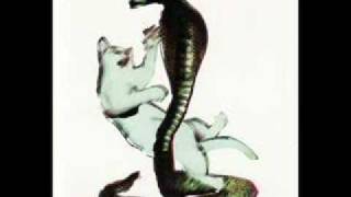 Les Savy Fav - Reformat