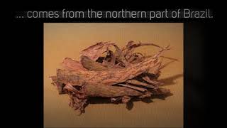 Mimosa Hostilis Root Bark For Sale In USA