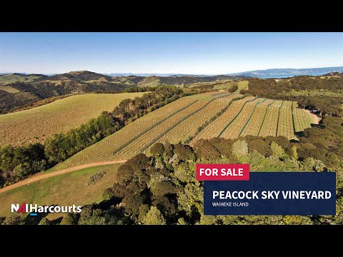 Business For Sale - Peacock Sky Vineyard - Waiheke Island, New Zealand