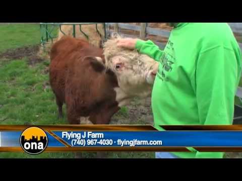 Flying J Farm - Out n About Columbus