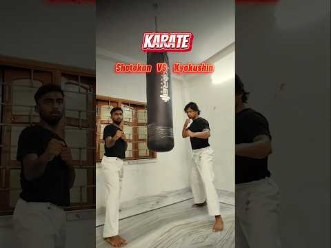 Shotokan VS Kyokushin Karate 🥋🥊 KICKs  (which u like most ?) #shotokan #karatekick #kyokushin