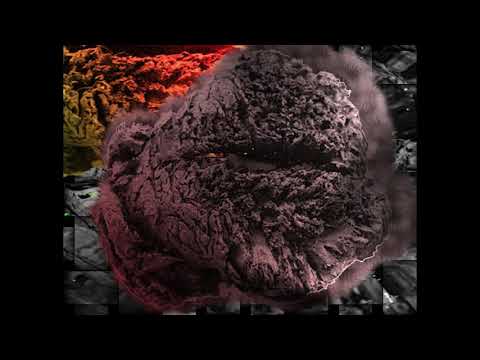 Załaz x Dr Zły x Loko Krk  - Przepalone Styki