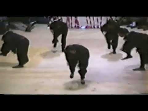 Delta Sigma Theta 1991