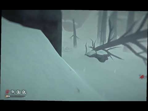 The long Dark a machinima by Yang Jing