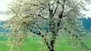 Open Our Eyes   Maranatha Singers