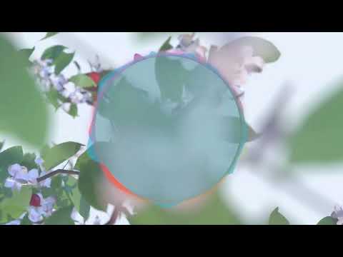 Breathing Microbreak: Breathe with Cherry Trees