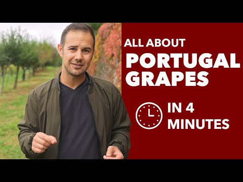 Portuguese Grapes - All About the Wine Grapes from Portugal (Touriga Nacional & more...)