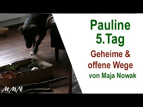 Geheime und offene Wege - Pauline 5.Tag - von Maja Nowak
