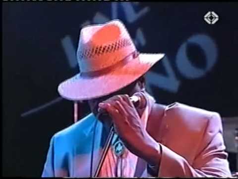 Magic Slim & The Teardrops, "Gotta Love Somebody" (1995)