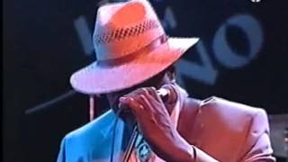 Magic Slim & The Teardrops, "Gotta Love Somebody" (1995)