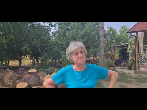 "Naselje ispod drum", bezimeni sokak, Šetana rođaka ; Pirot, 17.9.2021.