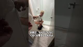 21歳キャバ嬢アメリカ🇺🇸VLOG