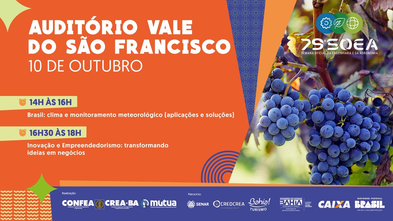 Inovação e Empreendedorismo: Transformando ideias em negócios