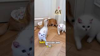 Download lagu si oyen dan pepew jadi pahlawan#catshorts mp3