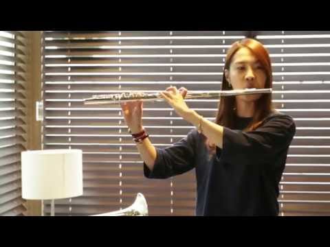 Flute -  Miyazawa MJ-100E  (수입,중고 플룻 전문 악기를 고르다)