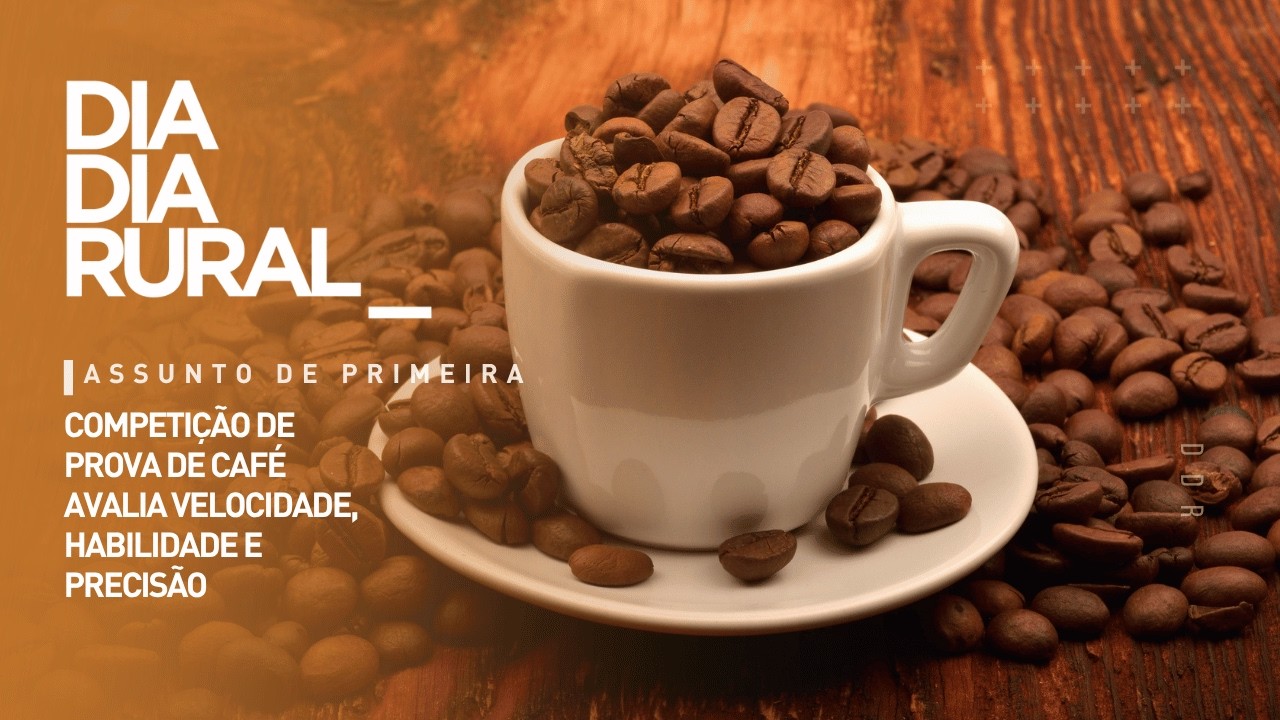 Competição de Prova de Café avalia velocidade, habilidade e precisão