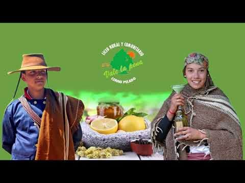 Los Fogones del Cerrito 2024 - Institucional