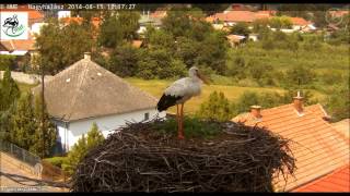 preview picture of video 'Nagyhalász, Hungary, 15 08 2014, 12 12  Niepokoje'